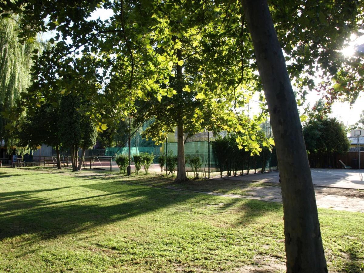 Garden Club Panzio Bed & Breakfast Balatonmáriafürdő Dış mekan fotoğraf